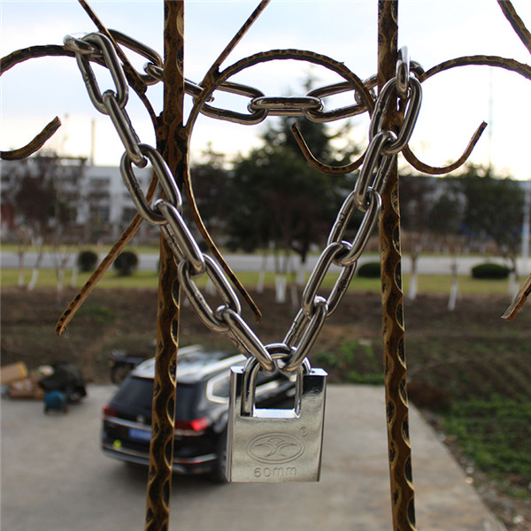 Stainless steel chain